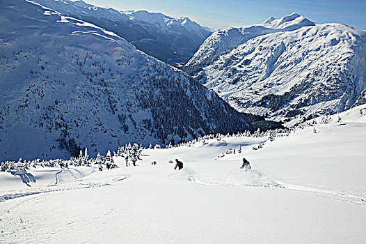 滑雪,海岸,山峦,不列颠哥伦比亚省,加拿大