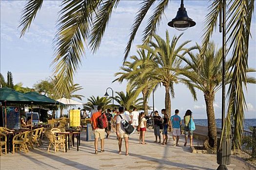 餐馆,棕榈树,海岸,伊比沙岛,巴利阿里群岛,西班牙,欧洲