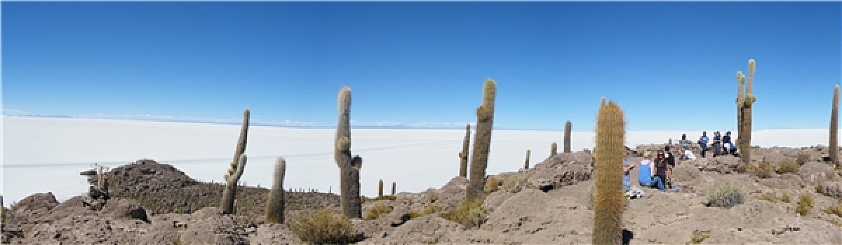 玻利维亚,乌尤尼盐沼,盐