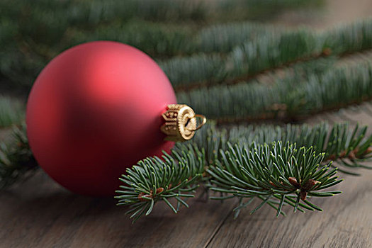 杉枝,红色,球,橡树,桌子,特写,圣诞节,照相