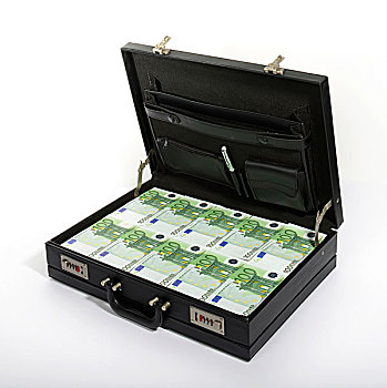 100欧元,货币,公文包,手提箱,钱