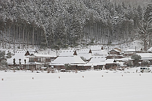 雪,元宵节,传统,房子,京都府,日本