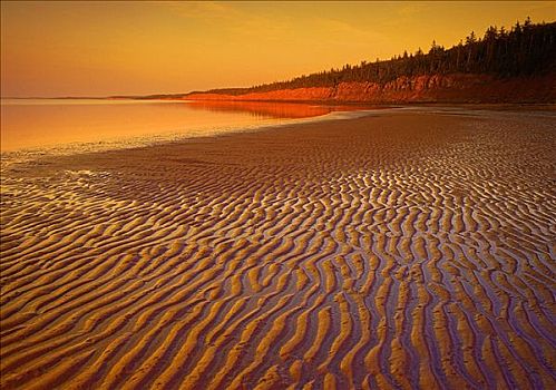 日落,上方,海滩,爱德华王子岛,加拿大