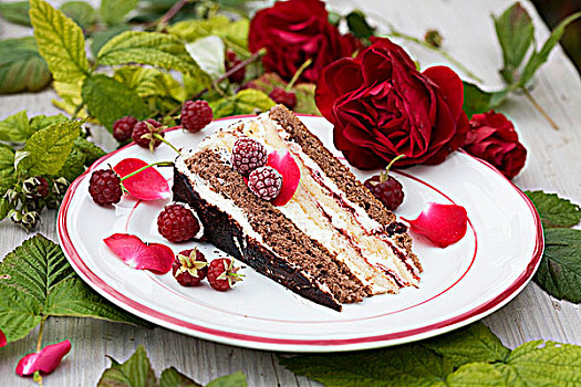 块,树莓,奶油蛋糕