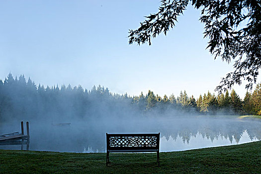 美国,佛蒙特州,装饰,长椅,面对,雾状,水塘