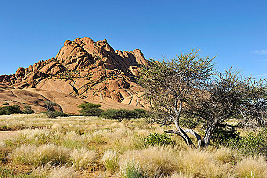 纳米比亚,达马拉兰,纳米布沙漠,1784年