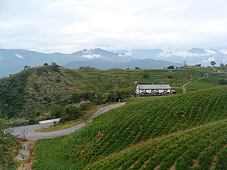 城镇,60多岁,山