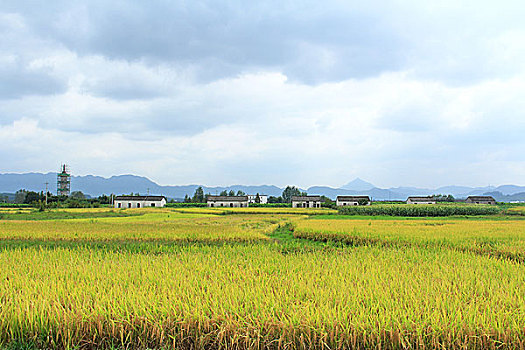 黟县碧山村