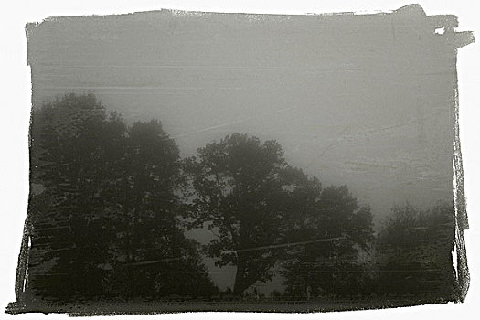 秋天,雾