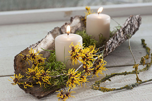 蜡烛,苔藓,小,枝条,芳香,褐色