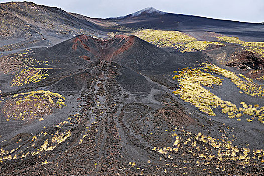 黑色,火山岩,植被,火山口,埃特纳山,西西里,意大利,欧洲