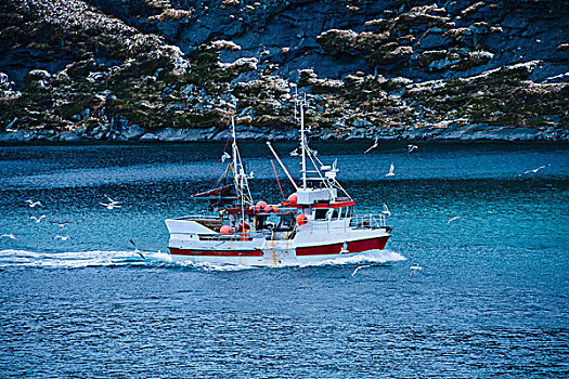 渔船,海洋,瑞恩,挪威