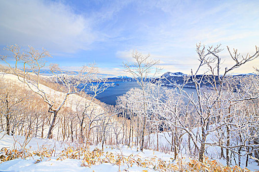 湖,雪,早晨,亮光,北海道