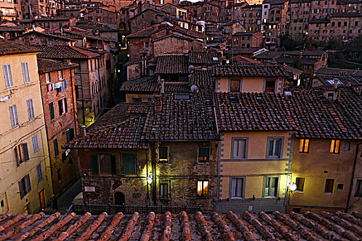老,屋顶,锡耶纳,托斯卡纳,意大利,欧洲