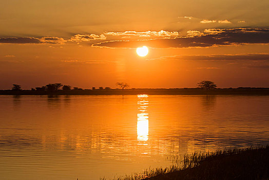 日落,水,鸟,保护区,博茨瓦纳,非洲