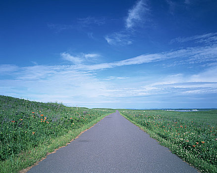 道路