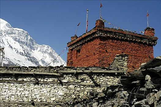 红色,塔,石头,后面,墙壁,正面,雪冠,山峦,布拉加,喇嘛寺,安娜普纳地区,尼泊尔