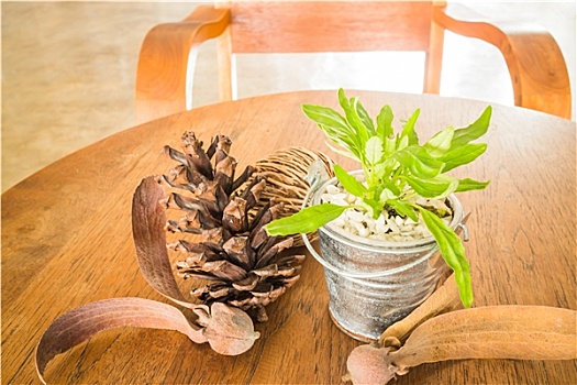 桶,绿色植物,装饰,木桌子