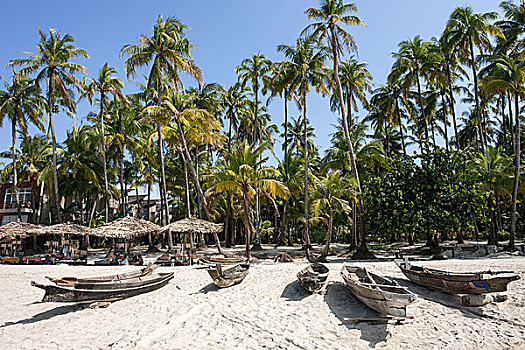 海滩,老,伞,渔船,棕榈树,那布利海滩,若开邦,缅甸,亚洲