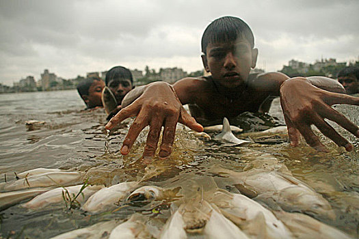 孩子,死,鱼,污染,湖,达卡,孟加拉,八月,2007年