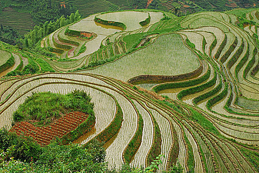 风景