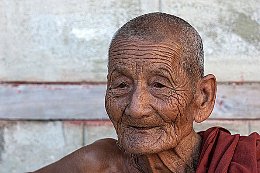 老,僧侣,头像,寺院,靠近,茵莱湖,掸邦,缅甸,亚洲