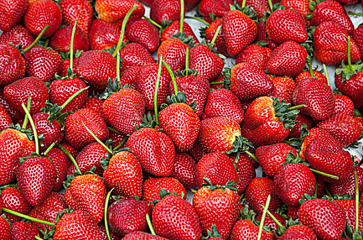 新鲜,成熟,草莓,展示,市场