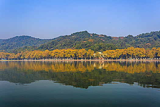 杭州,西湖,美景,风景