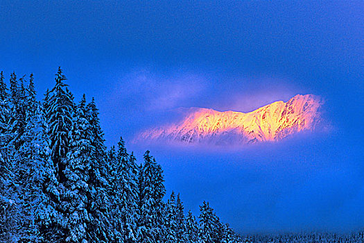 积雪,山峦,罗布森山省立公园,不列颠哥伦比亚省,加拿大