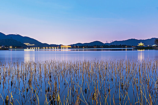 杭州湘湖景区自然风光夜景