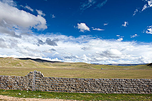 西藏那曲地区班戈县人工草基地