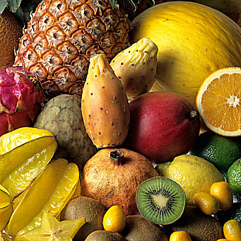 外来水果,猕猴桃,菠萝,金橘,火龙果,杨桃,石榴,芒果,柠檬,蜜瓜,橙色