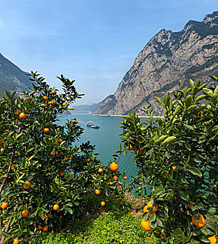 长江三峡西陵峡橙子