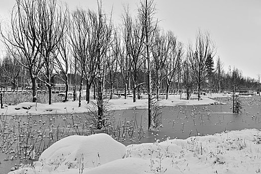 雪景