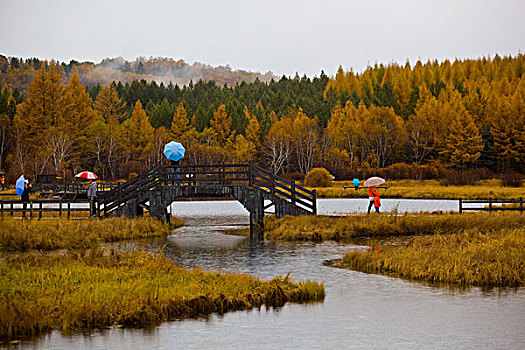 承德木兰围场塞罕坝秋景