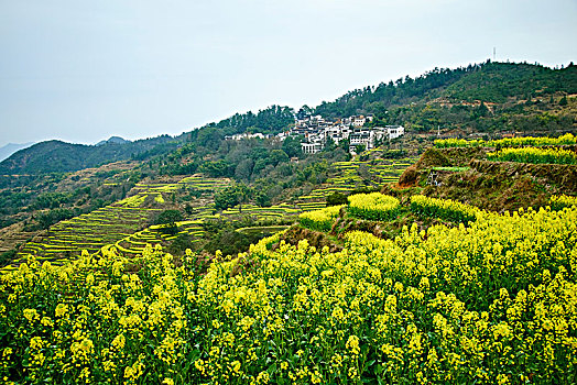 婺源县篁岭