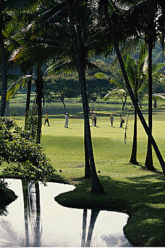 圣淘沙,高尔夫球场,新加坡