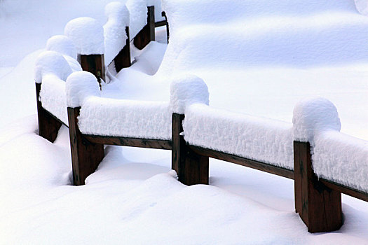 雪,木头,栅栏