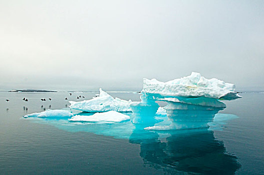 挪威,斯瓦尔巴群岛,斯匹次卑尔根岛,蓝色,结冰,冰山,漂浮,海岸