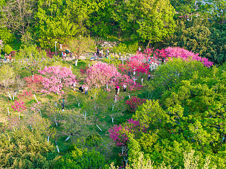 济南泉城公园春暖花开