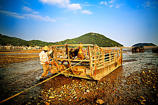 福建霞浦,海滩,船,劳作