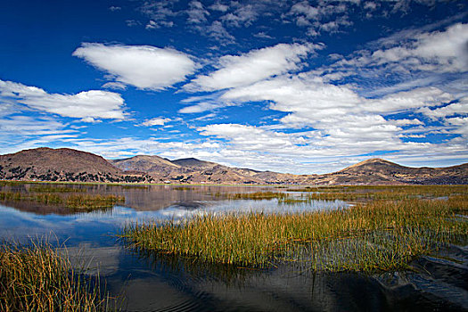 南美,秘鲁,提提卡卡湖,风景,靠近,普诺