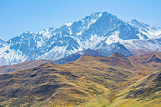 祁连山山麓亚洲最大的半野生鹿基地