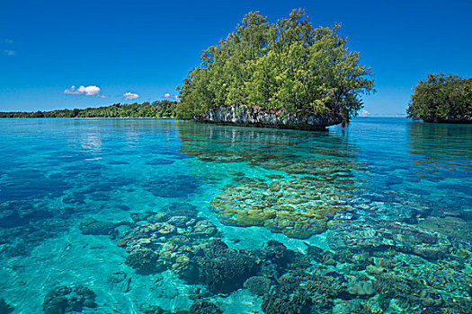 岛屿,帕劳,密克罗尼西亚,大洋洲