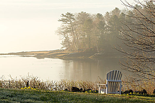 雾状,早晨,春天,椅子,远眺,湾,缅因