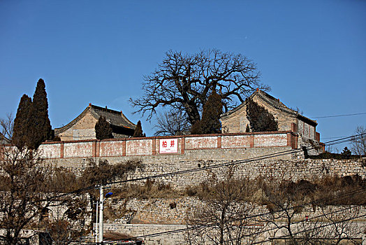 村庄,窑洞,黄土高原,民居,住宅,文化