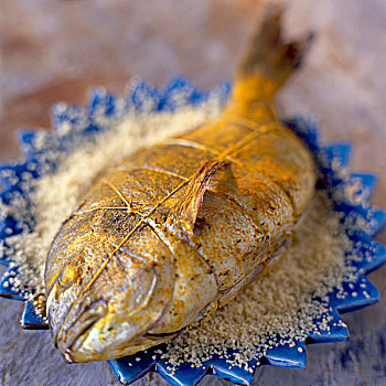 铜盆鱼
