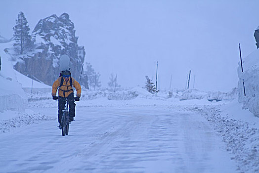 一个,男人,骑,山地车,滑雪板,背影,暴风雪