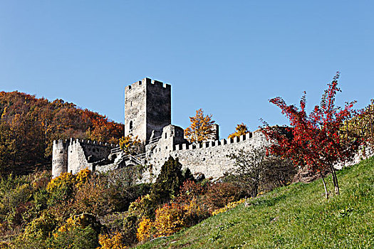 城堡遗迹,瓦绍,山谷,区域,下奥地利州,奥地利,欧洲