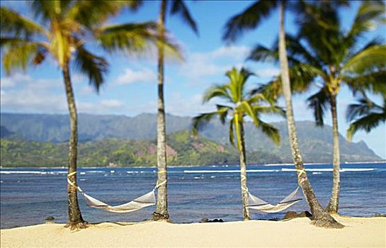 夏威夷,考艾岛,湾,普林斯维尔,两个,吊床,悬挂,棕榈树,沙,热带沙滩